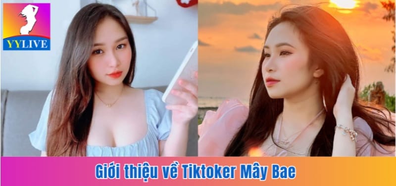 Tiktoker Mây Bae | Lùm Xùm Tiểu Tam Nhận Chu Cấp 8 Tỷ 5 Giới thiệu về Tiktoker Mây Bae