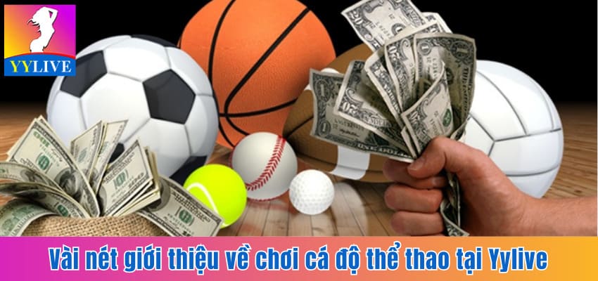Chơi Cá Độ Thể Thao Tại YYlive Hấp Dẫn, Nhanh Chóng 5 Vài nét giới thiệu về chơi cá độ thể thao tại YYlive