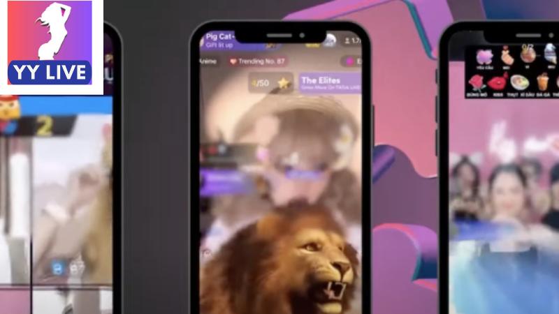 Idol YY Live Trung Quốc - Nền Tảng Giải Trí Đỉnh Cao 6 Tại sao idol YY Trung Quốc thu hút đông đảo người dùng?
