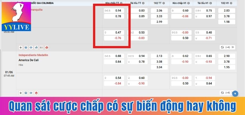 Kèo Handicap Là Gì? Cách Đọc Và Bí Quyết Cược Thắng Lớn 7 Quan sát cược chấp có sự biến động hay không